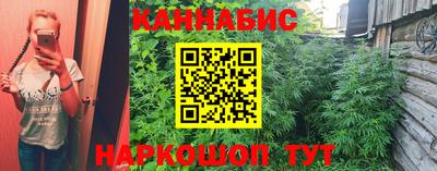 эйфоретик Гатчина