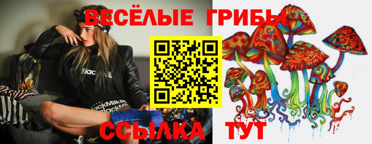 Галлюциногенные грибы Psilocybe  Вход с VPN  что такое   Обнинск  Псилоцибиновые грибы Psilocybine cubensis 