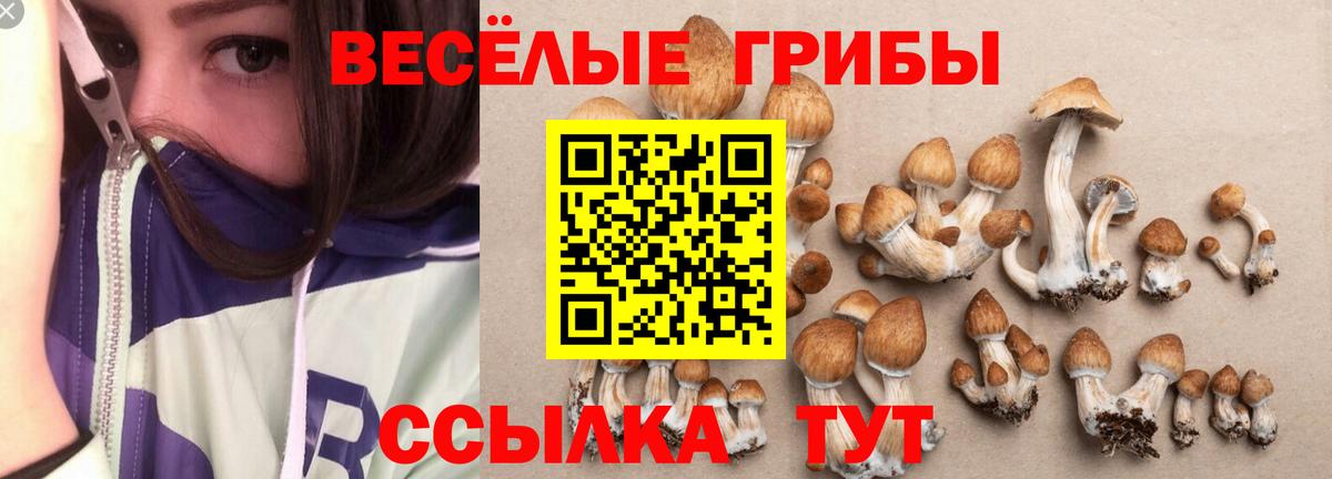 Псилоцибиновые грибы GOLDEN TEACHER Обнинск